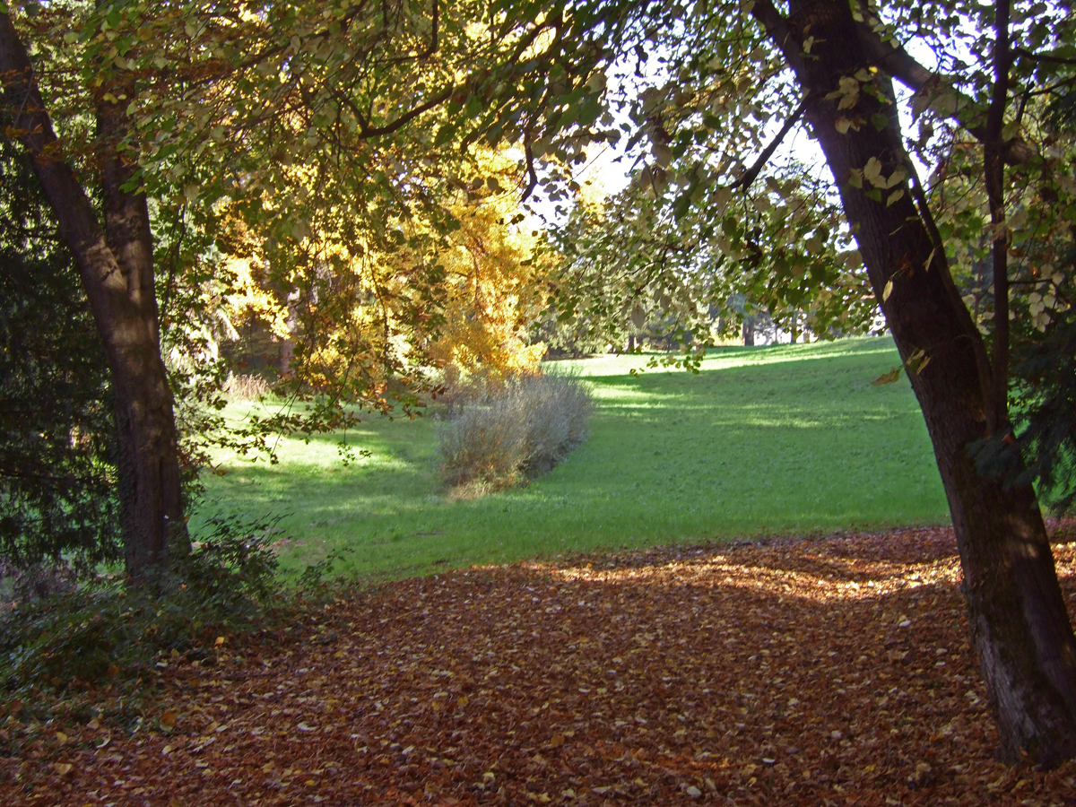 Il parco di Villa Besana in autunno