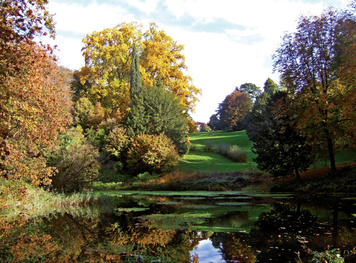 Il laghetto del parco in autunno